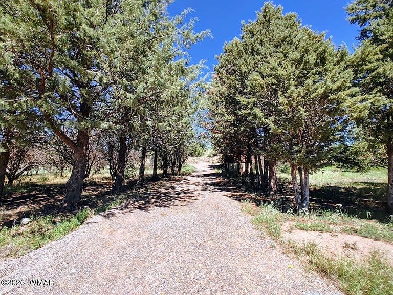 5292 W Cottonwood Dr photo 4