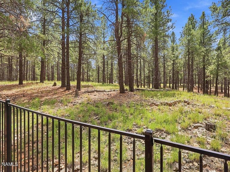 347 W Wulfenite Rd photo 2
