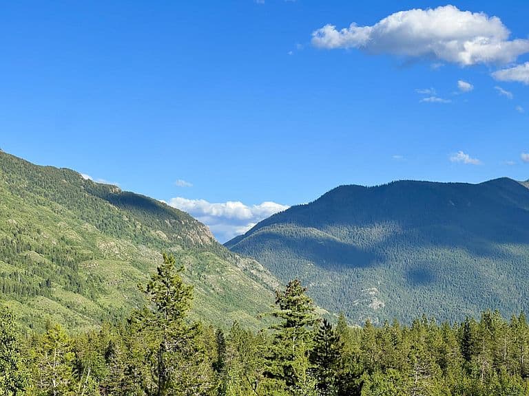 250 Bull Moose Trl photo 5