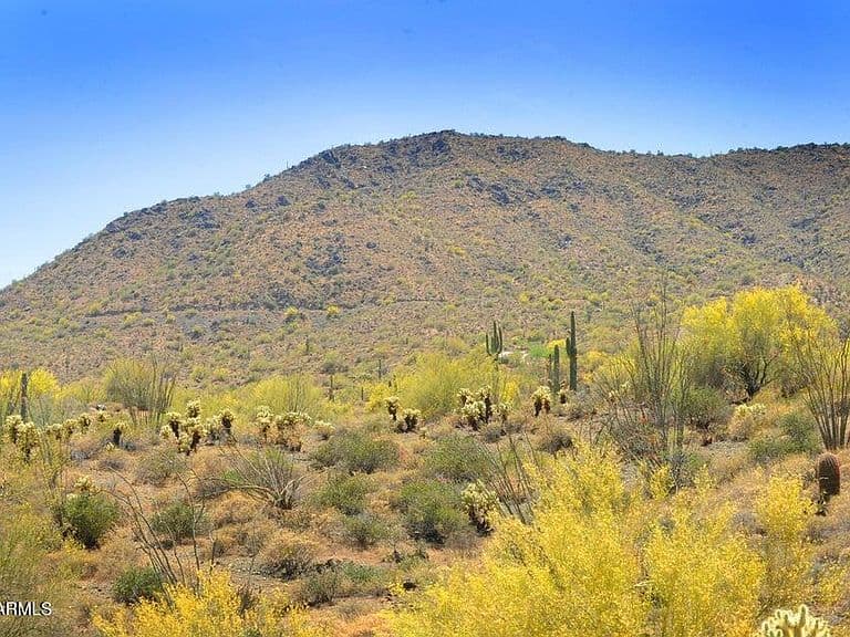 14317 E Mourning Dove Drive photo 4
