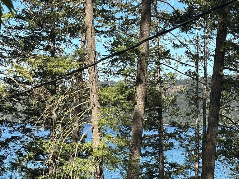 307 Rocky Point Loop Rd photo 3