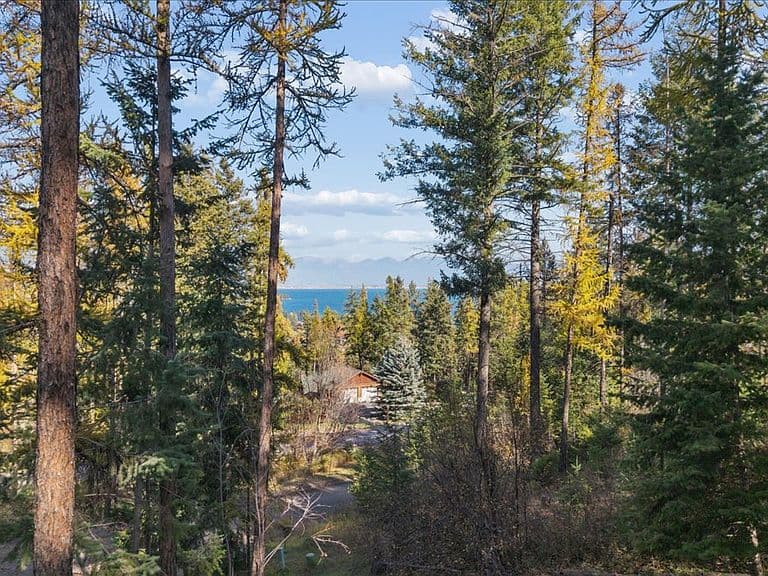 163 Pine Needle Dr photo 3