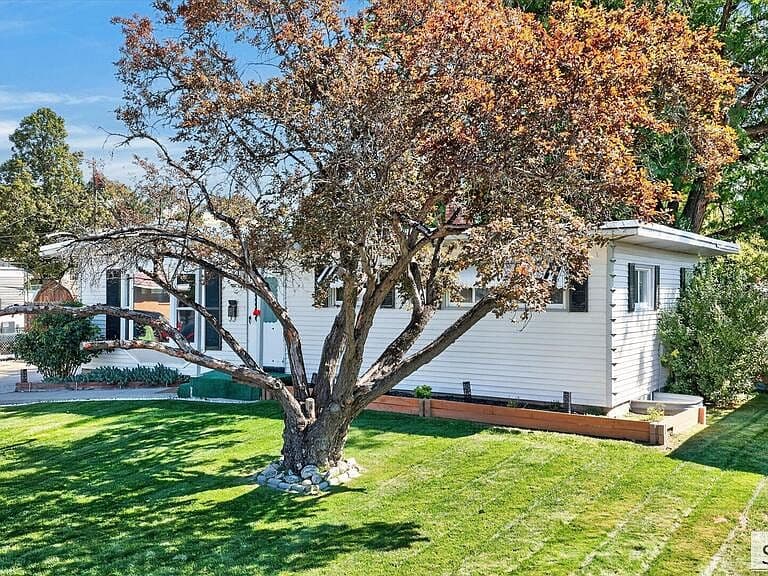 930 Park Ave photo 3