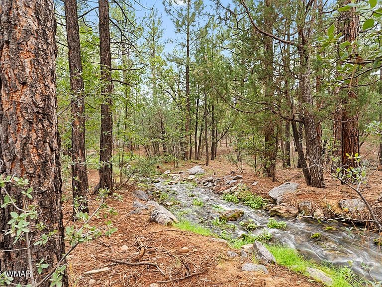 3871 W Sugar Pine Way photo 4