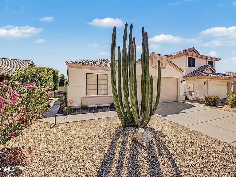 3807 W RUNION Drive photo 5
