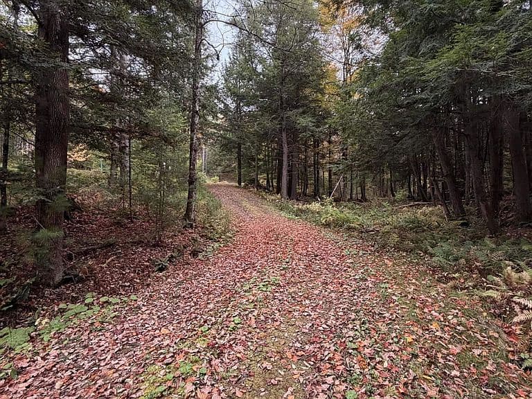 1348 Five Corners Road photo 5