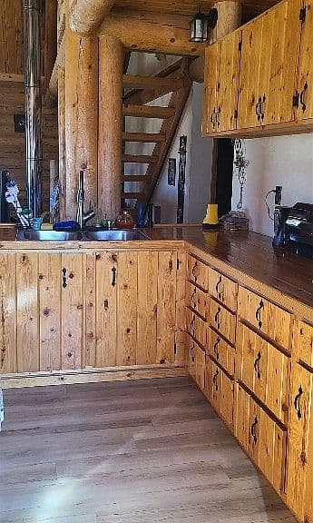 309 Bear Paw Trl photo 5