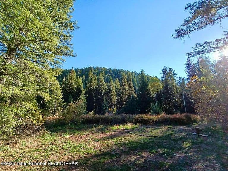 466 Willow Creek Canyon Rd photo 2