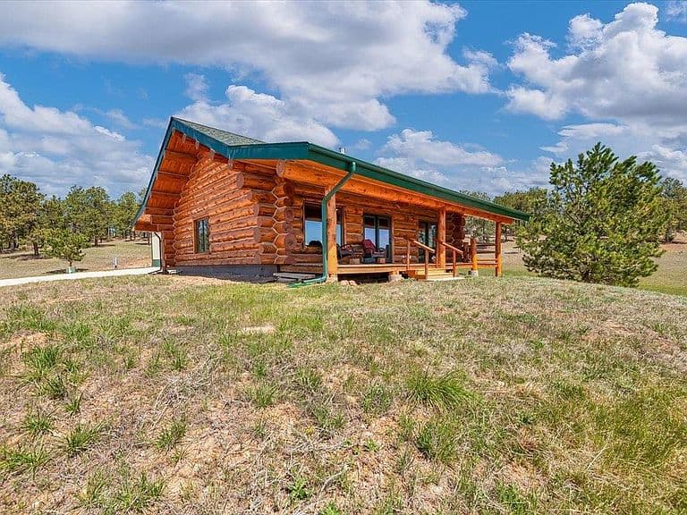 11906 Mountain Lion Ln photo 3