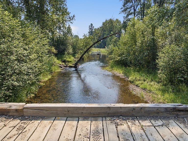 34500 Cedar Creek Rd photo 5