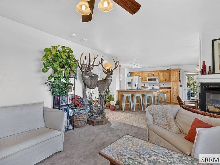 2666 Castle Peak Way photo 5