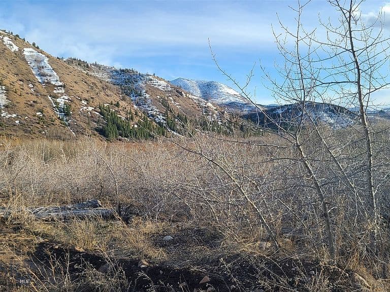 101 Bear Paw Trl photo 4