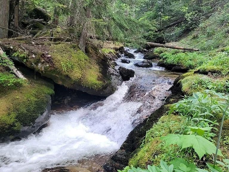 69 Boreal Way photo 5