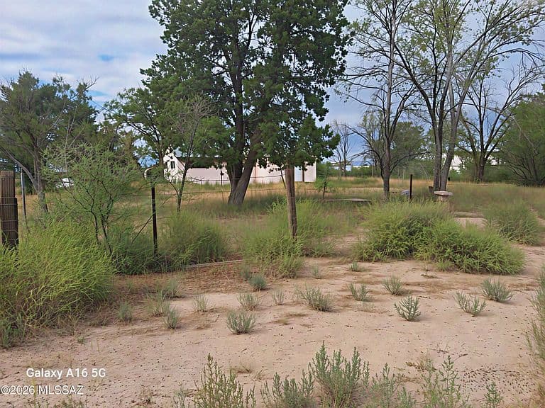 330 W Packing Plant Rd photo 3