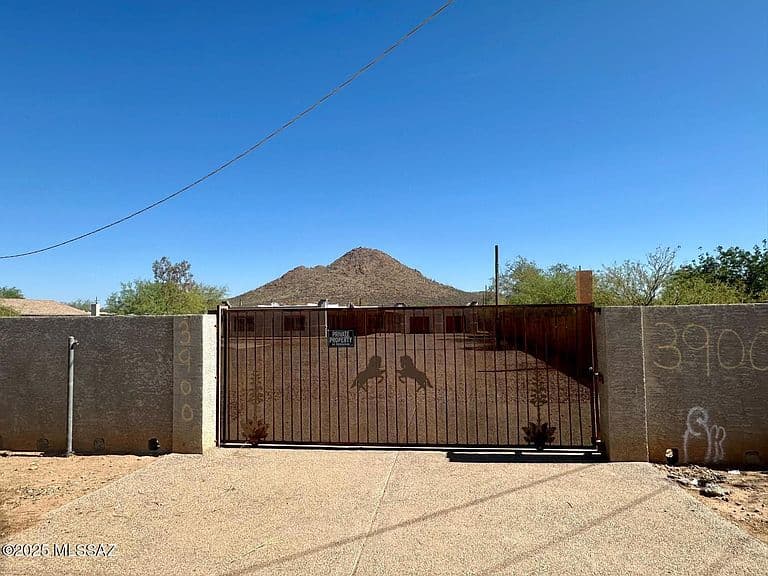 3900 W Calle Torim photo 2