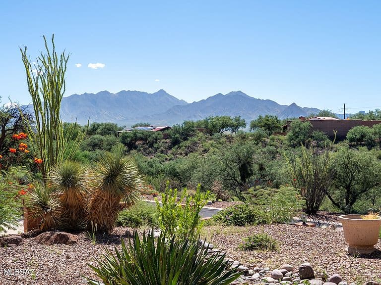 3830 S Via De Las Cruces photo 3