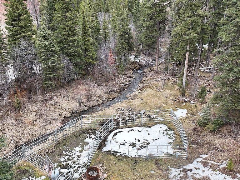 614 Wyman Gulch Rd photo 4