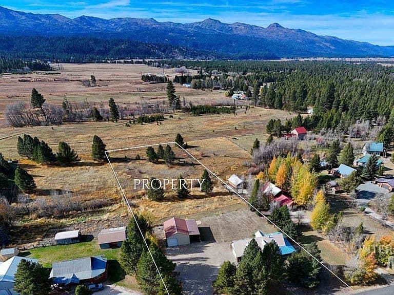 21 Willow Way photo 4