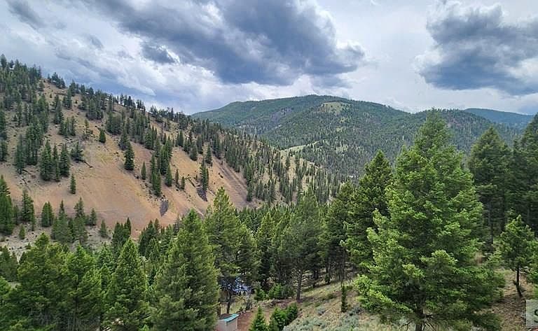 58 Bighorn Dr photo 4