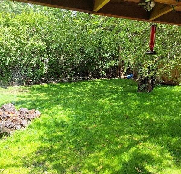1317 S McCoy Dr photo 1