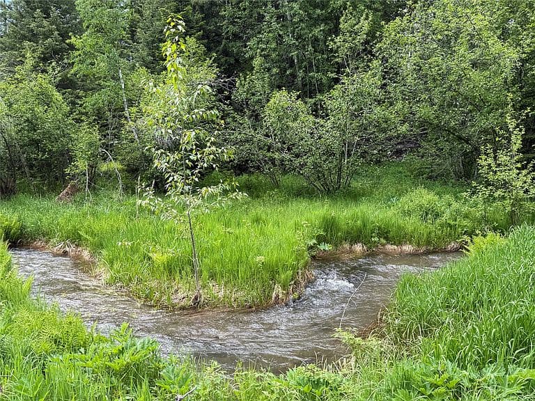622 Wild Swan Trl photo 5