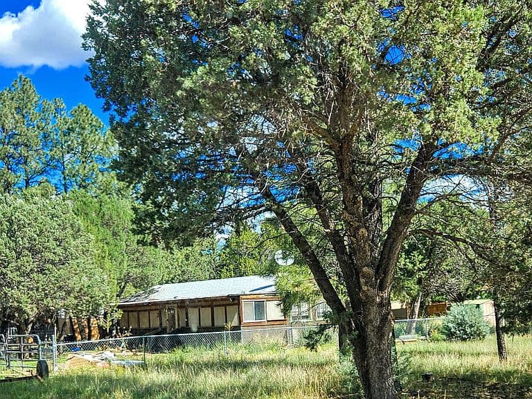 2863 Pine Rim Rd photo 2