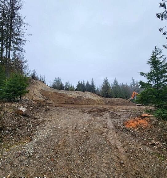 99 Big Burl Rd photo 2