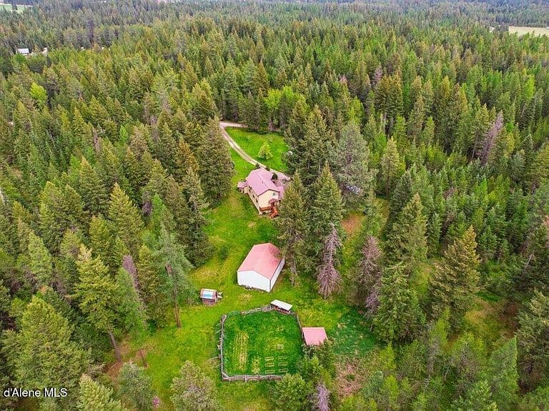 457 Lodgepole photo 5