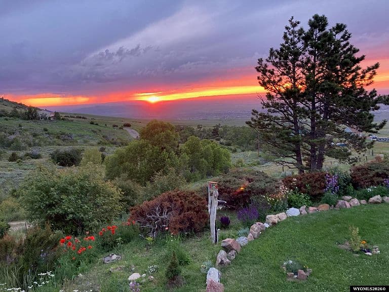 3695 Leo Ln photo 3