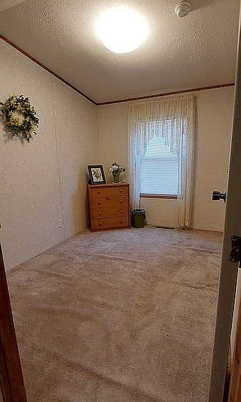 109 Laura Ln photo 3