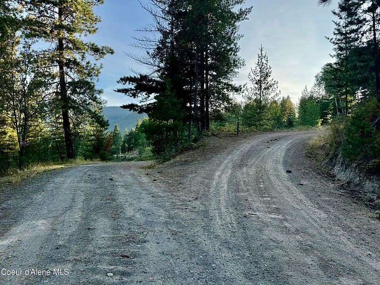 915 Terror Gulch Rd photo 3