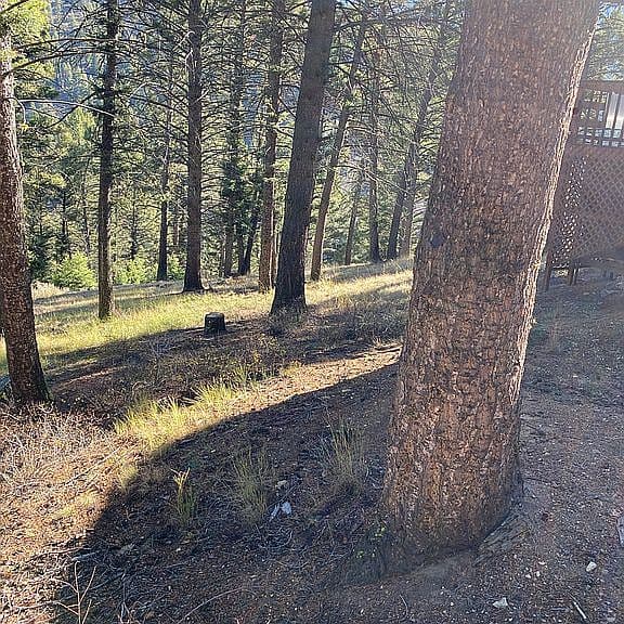 12 Elk Summit Way photo 5
