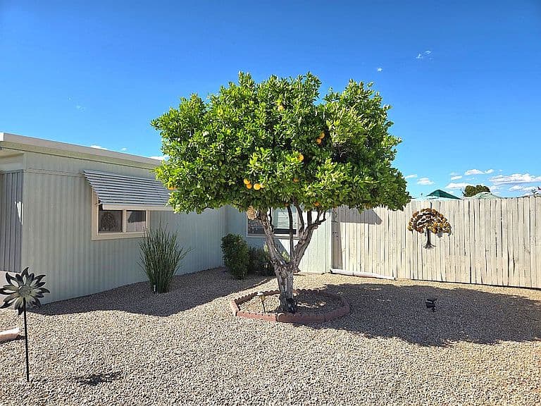 1532 E Campo Bello Dr photo 4