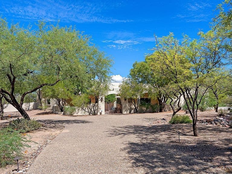 11731 E Lusitano Pl photo 5
