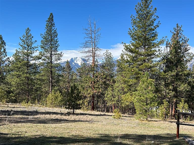 577 El Capitan Loop photo 3