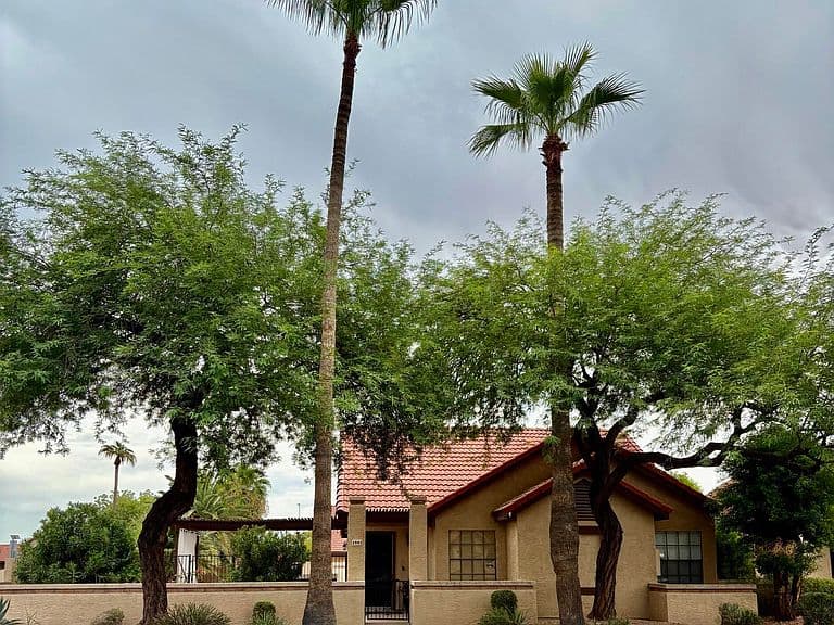 1941 E VELVET Drive photo 4