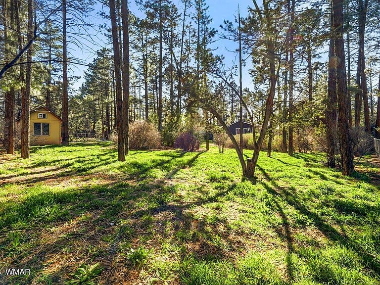 1009 Chaparral Dr photo 3