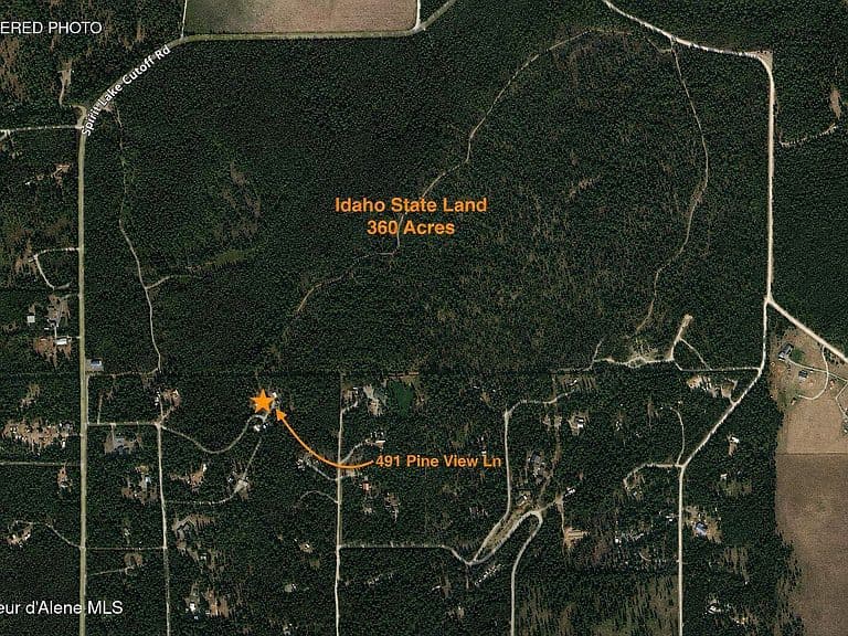 491 Pine View Ln photo 3