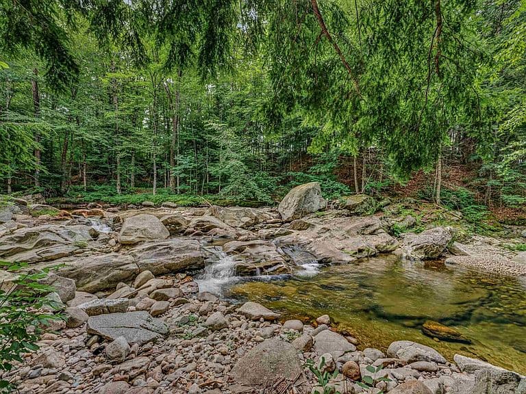 180 Millbrook Road photo 4