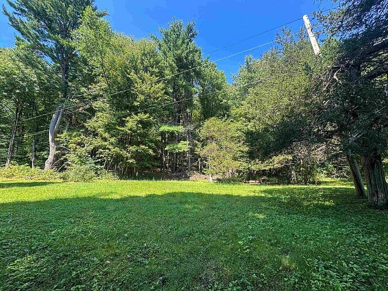 398 Tubs Road photo 5
