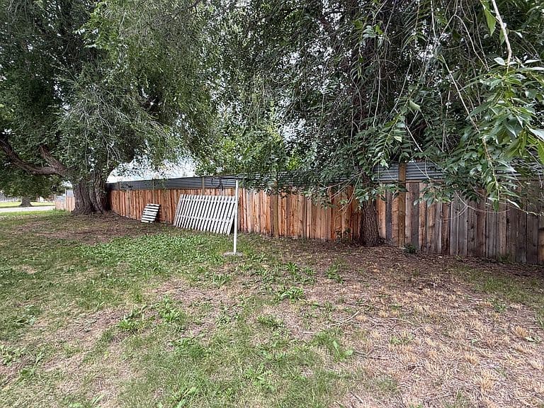117 Daly Ave photo 5