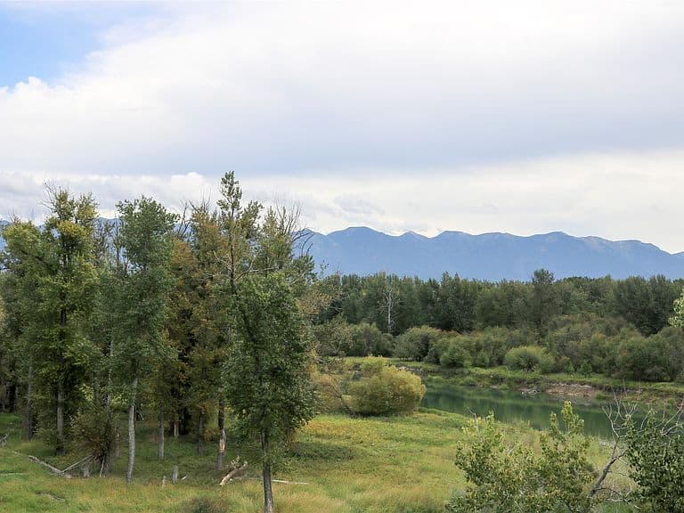 415 Leisure Dr photo 3