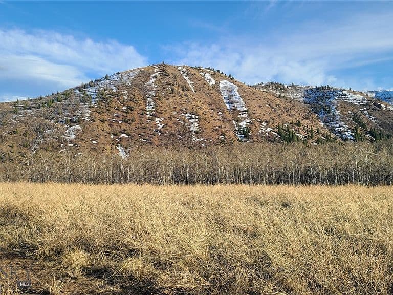 101 Bear Paw Trl photo 3