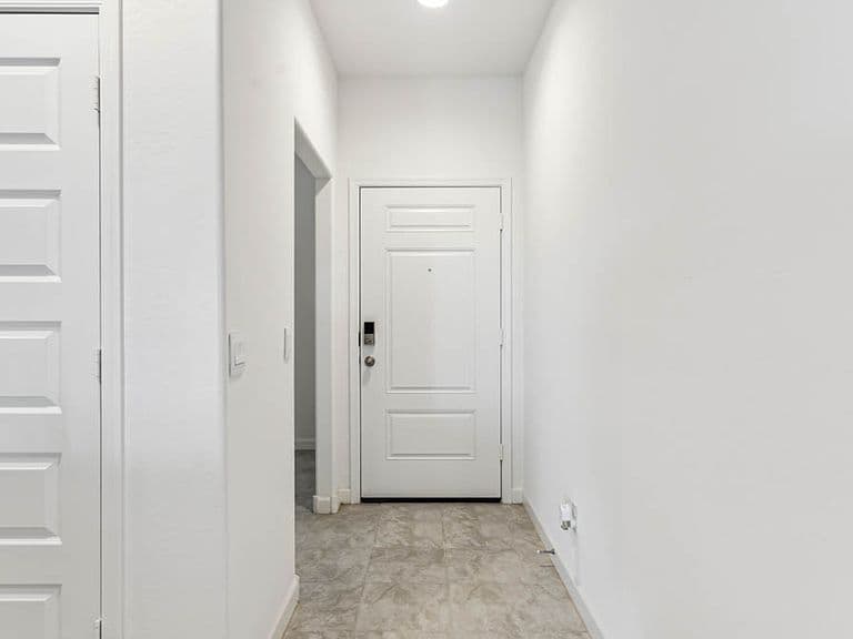 Abbot Plan, Moonlight photo 4