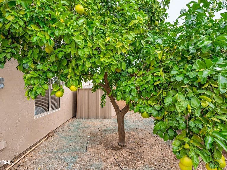 5253 E VILLA RITA Drive photo 3