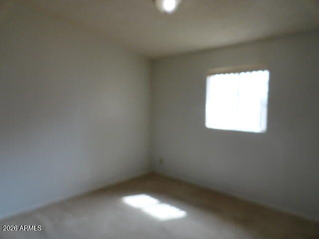 116 Wolfe St photo 4