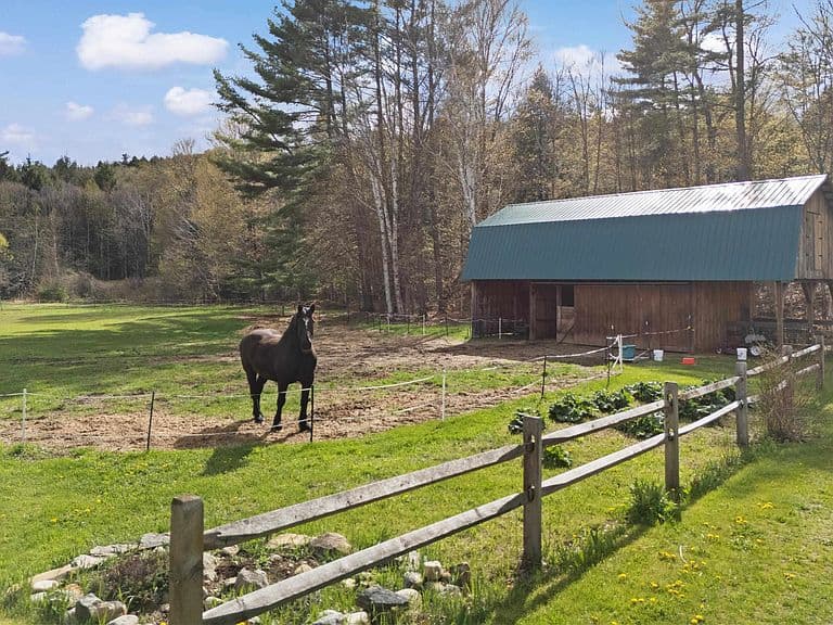 1121 Mt Moosilauke Highway photo 5