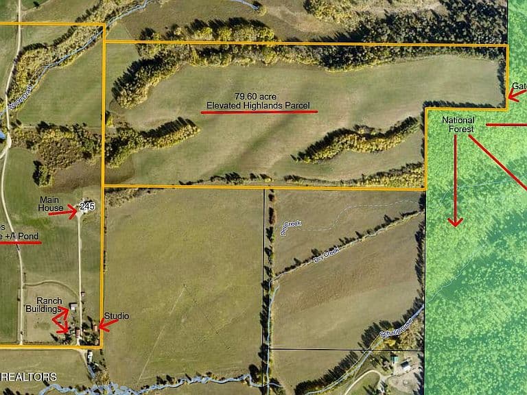 245 E Dry Creek Rd photo 5