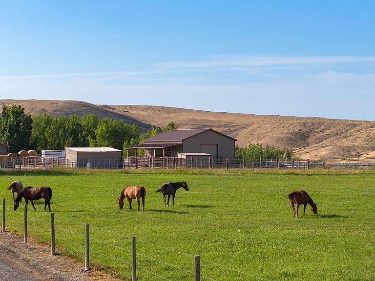 610 Us Highway 14 photo 4