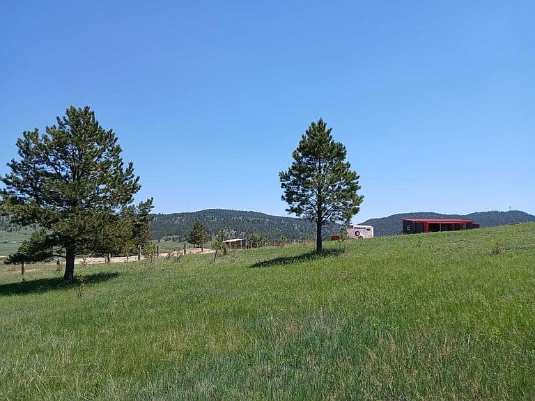 27199 Wind Cave Rd photo 3